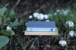 Premium 400-1000 Whetstone Sharpening Kit