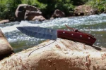 Woodsman Background