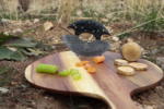 Harp Seal 425 Ulu Knife