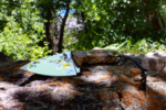 Titan 350 Hunting Knife