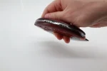 Harp Seal 425 Ulu Knife - Image 4