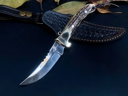Stag River Hawk Video