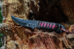 Pathfinder 550 Hunting Knife