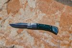 Predator 300 Folding Knife