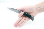 Predator 300 Folding Knife - Image 6