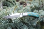Wanderer 300 Folding Knife